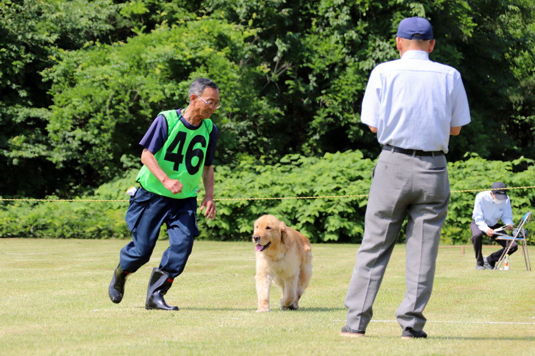 嬉しくて誇らしい『日本訓練チャンピオン決定競技会』ガウンが